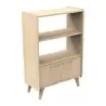 2-door-bookcase-1-arty-closet (1).webp