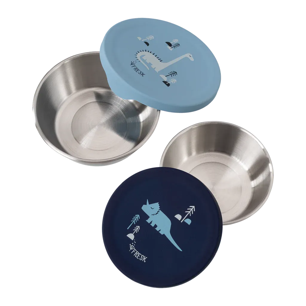 Fresk-FD660-10-Snackbox-set-Dino-2.webp