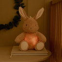 0029867_knuffelkonijn-licht-geluid.jpg.webp