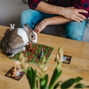 Jeu - Smart Games - Surprises dans le Potager - 4 ans et +   
