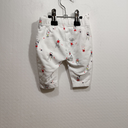 IMG_20250405_151312.webp