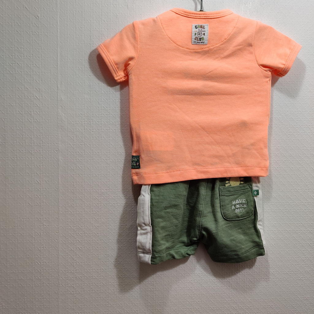 IMG_20250405_151941.webp