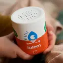 totem-379858.webp