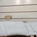 IMG_20250827_172235.webp