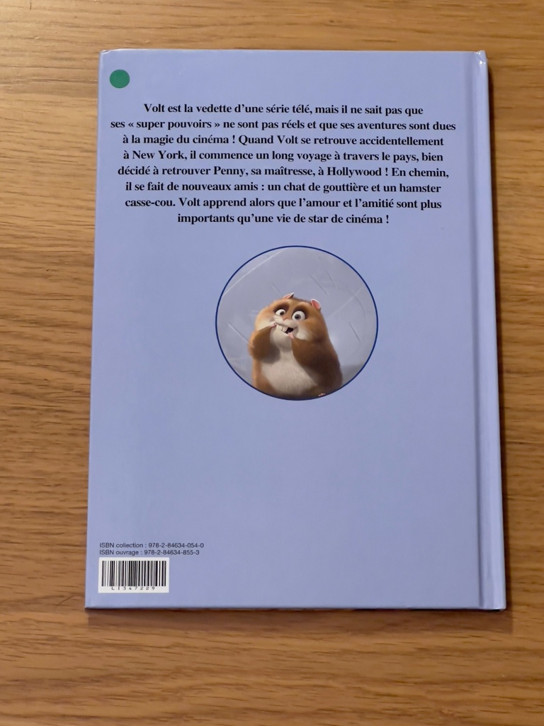 Livre - 100 infos à connaître - Les pirates