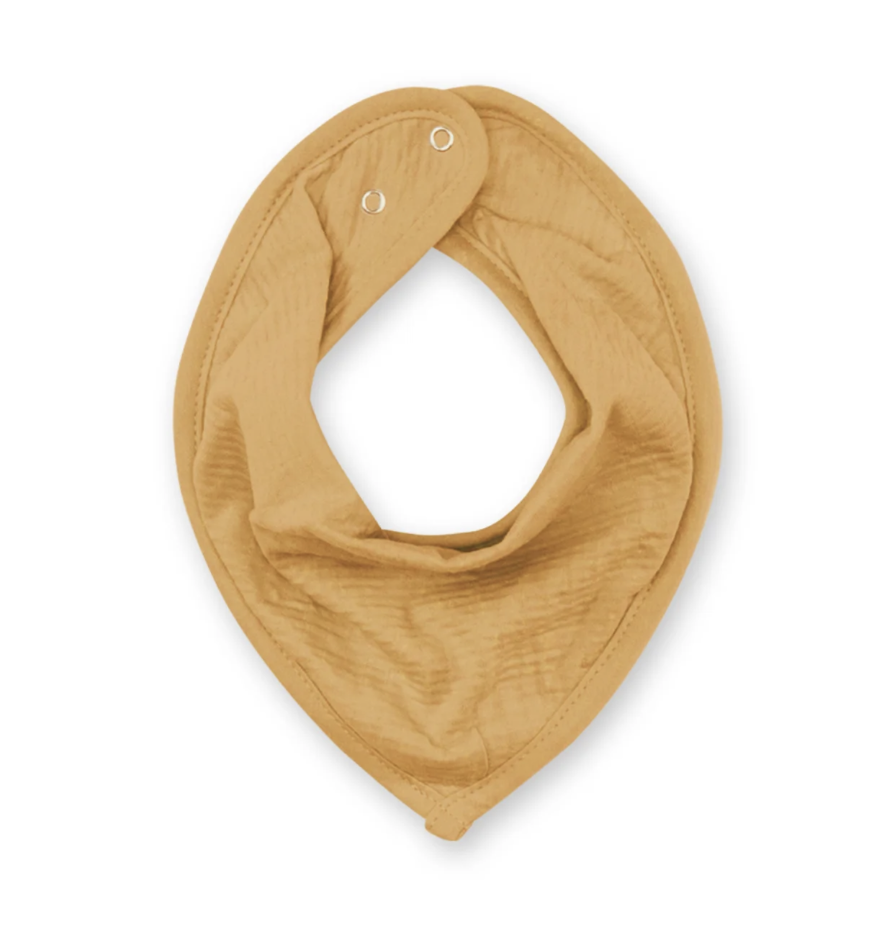 [5420010703329] Bandana - Bemini - golden tetra