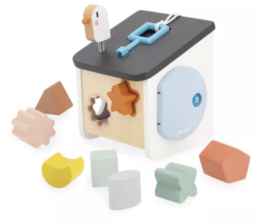 Maison des formes - Janod - Oiseau