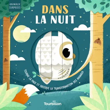 Livre d’éveil animé - Toubillon - Dans la nuit