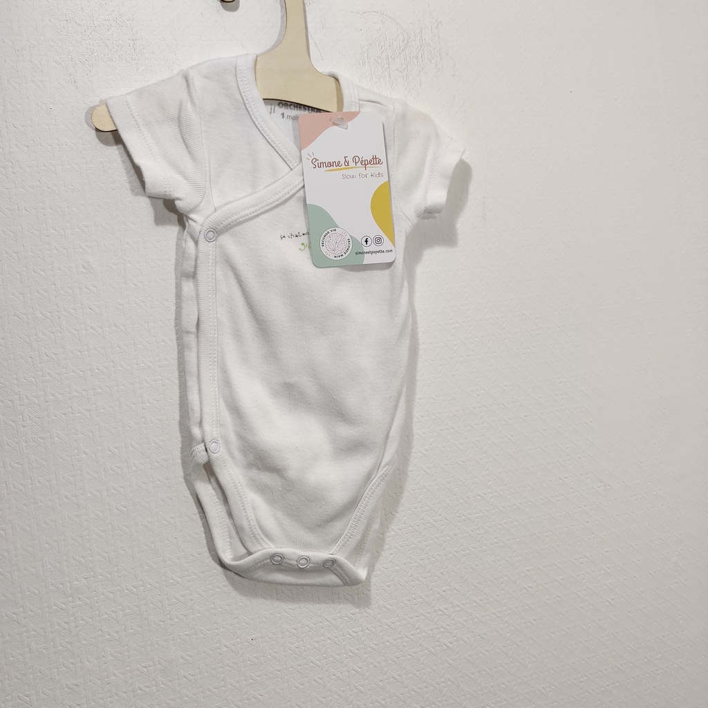 Body - Orchestra - 1 mois 