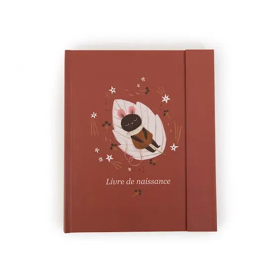 Livre de naissance - Moulin Roty - Après la pluie (80 pages)