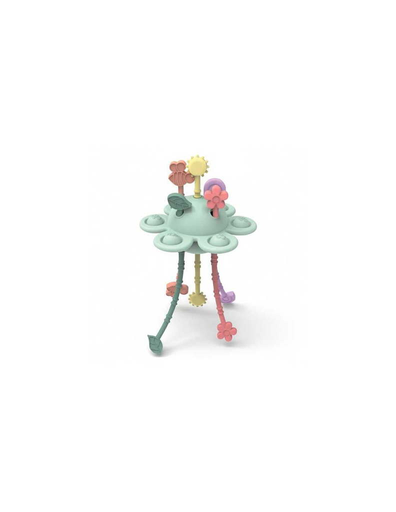 Jardin sensoriel - Little L 