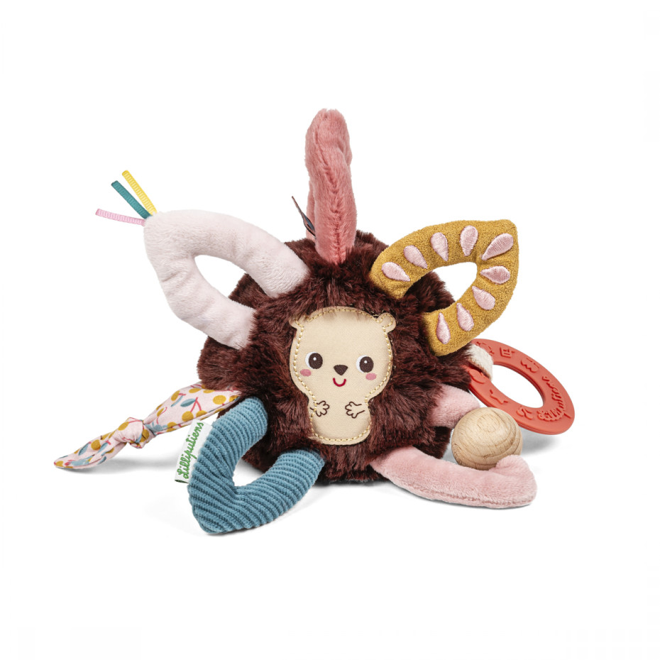 Anneaux sensoriels - Lilliputiens - Léon 