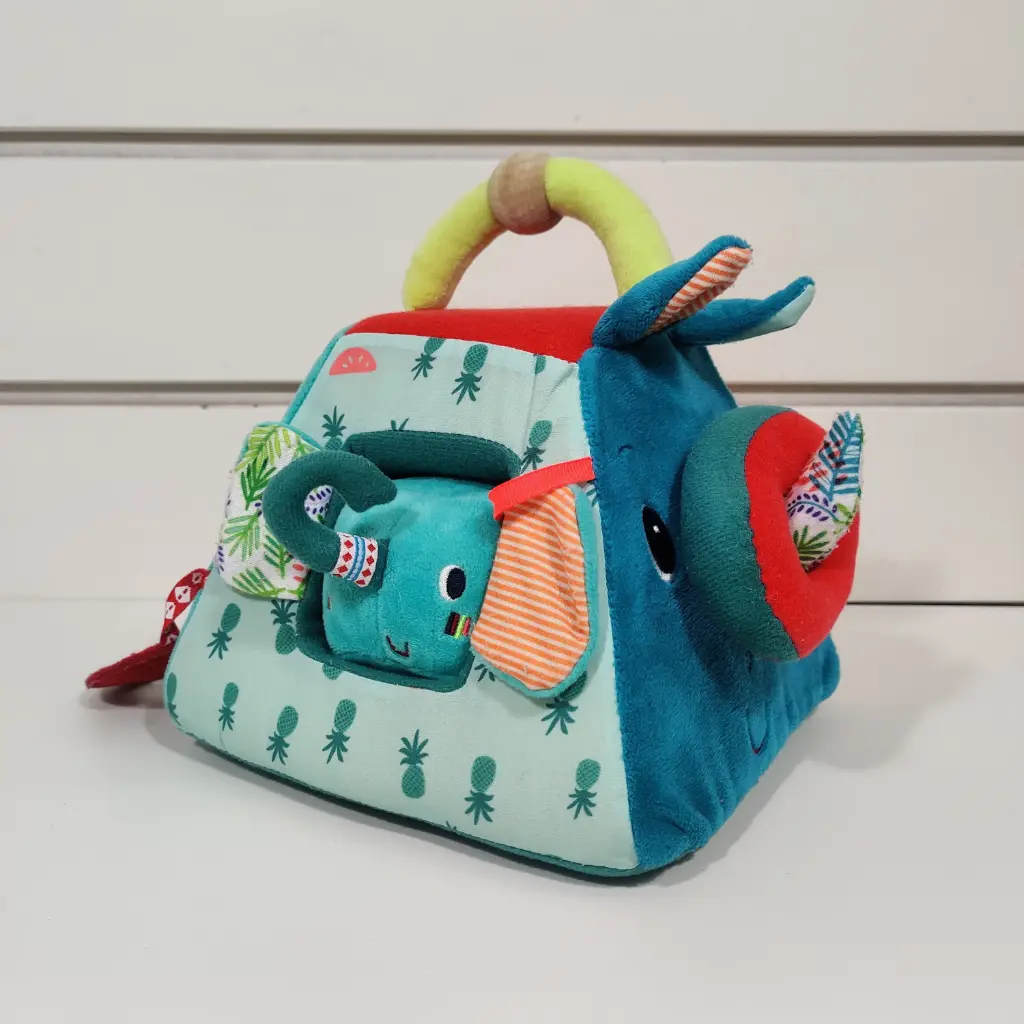 Livre d'activités - Lilliputiens -  Kiss César