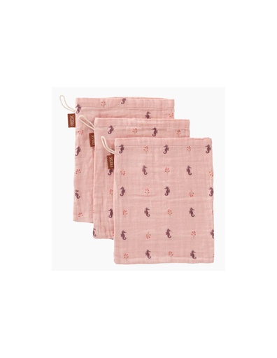 [8720874453406] Gants de toilette - Fresk - Coton bio Seahorse