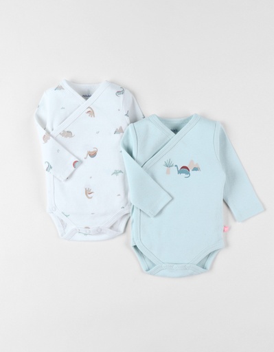 [5414220197726] Set de 2 bodys - noukie's - coton, bleu clair/écru 1 mois 