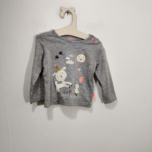 [V03787] Tee-shirt - Hema - 1 mois  