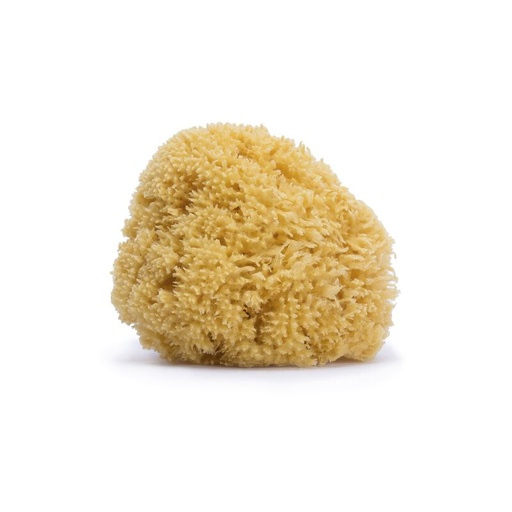 [8426420302920] Éponge en fibre naturelle - Suavinex 