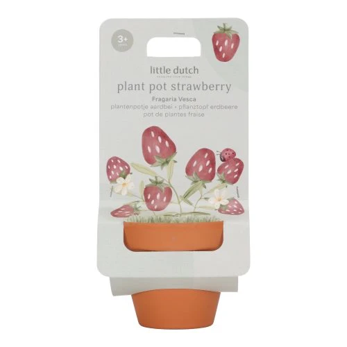 [8713291891319]  Pot en terre - Little dutch - Fraises 