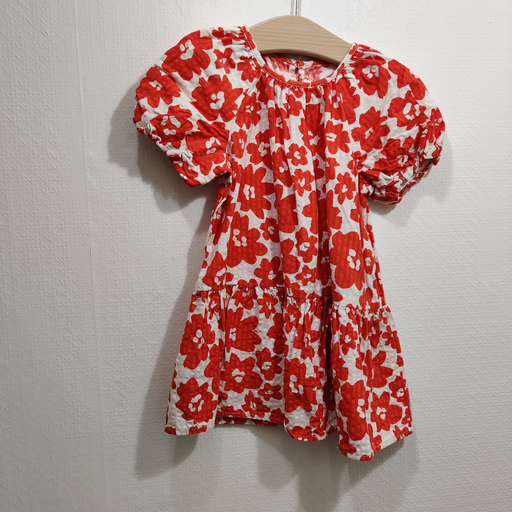 [V05009] Robe - Zara - 18 mois   