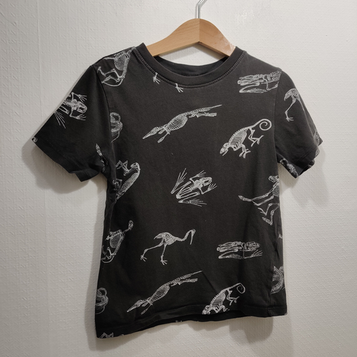 [V05036] Tee-shirt - H&M - 5 ans  