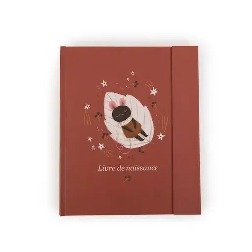 [3575677156000] Livre de naissance - Moulin Roty - Après la pluie (80 pages)